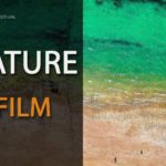 Kategoria konkursowa "Nature" Drone Film Festival Legnica 2018